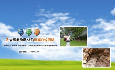 汕头市龙湖区忠兴白蚁防治服务部 守护家园，远离白蚁之患