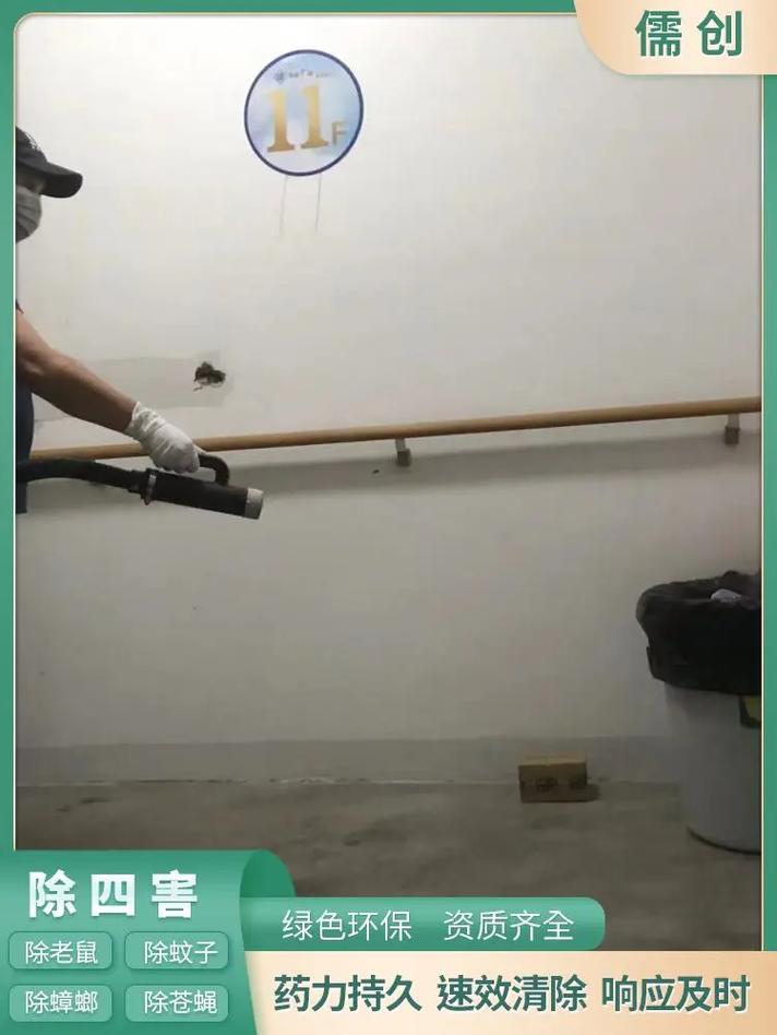 大家都在搜: 除虫灭鼠白蚁防治所 粉丝 5 获赞 33 关注 大良工厂灭鼠