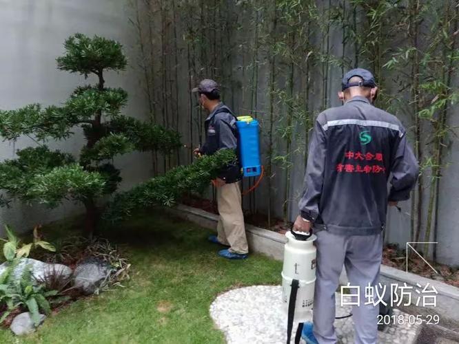 华侨城波托菲诺香山里二期10栋二单元1d白蚁防治服务项目作业记录