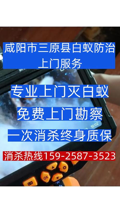 咸阳市三原县白蚁防治上门服务 白蚁消杀电话【159-2587 - 抖音