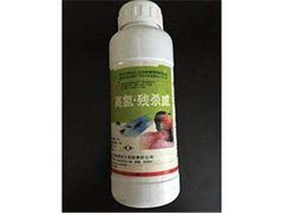喜旺科技白蚁防治站-具有口碑的白蚁专业用药服务提供商:怎样消灭白蚁