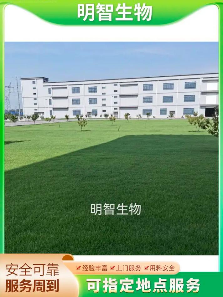 321 关注 长沙工厂白蚁防治公司,服务热线:15367129973灭白蚁产品能