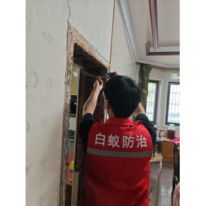 嵊州白蚁防治站-官方白蚁治理点