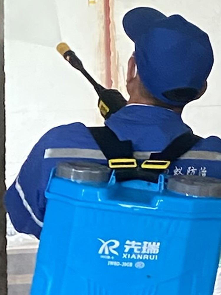 从化单位白蚁防治