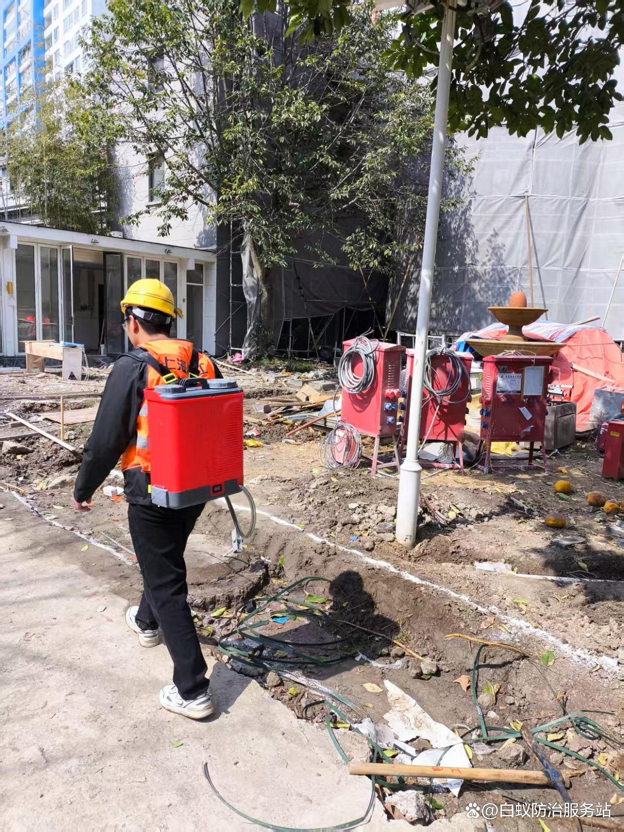 绍兴白蚁防治所电话,绍兴白蚁服务指南
